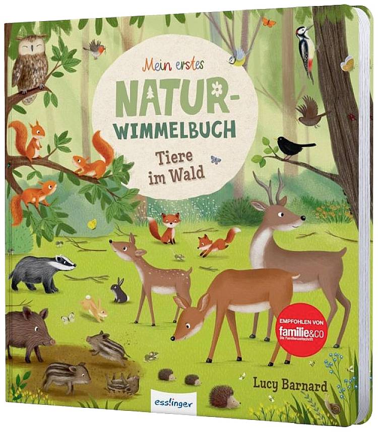 Natur-Wimmelbuch: Tiere im Wald