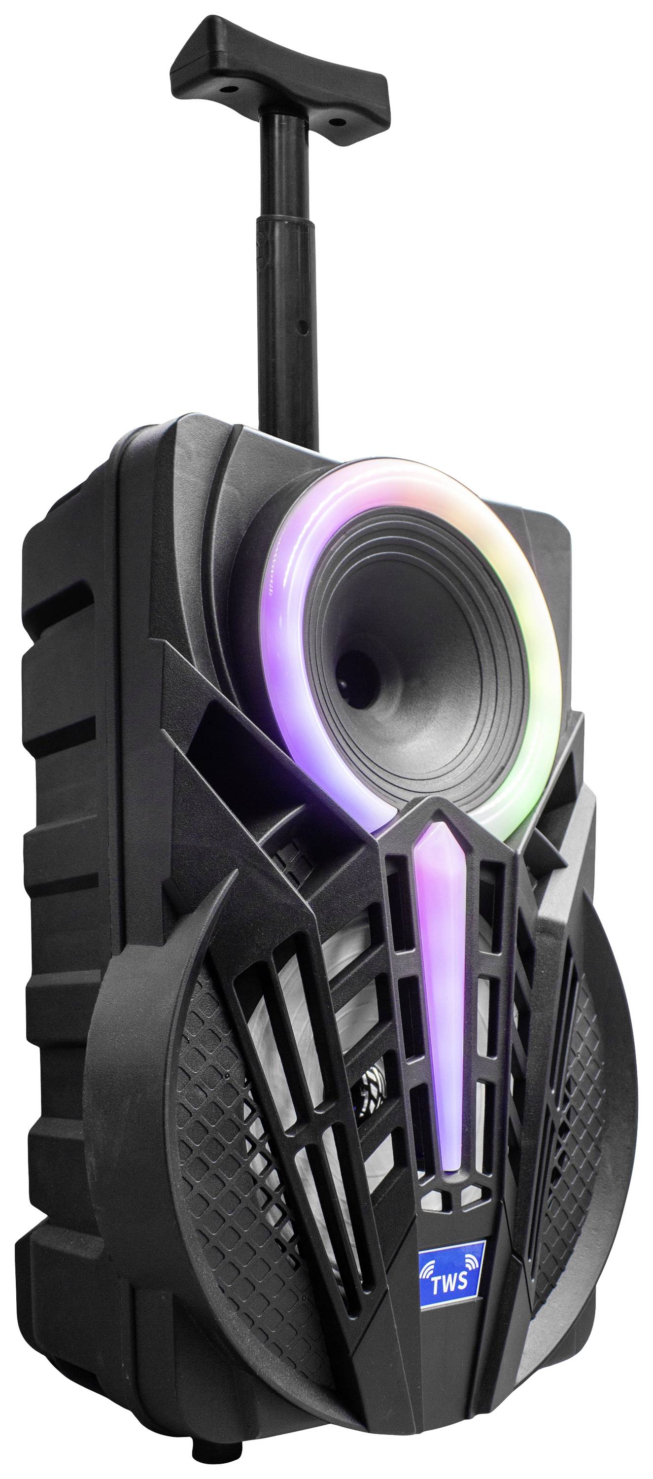 Denver TSP-301 Party Lautsprecher 20.3 cm 8 Zoll 12 W 1 St.