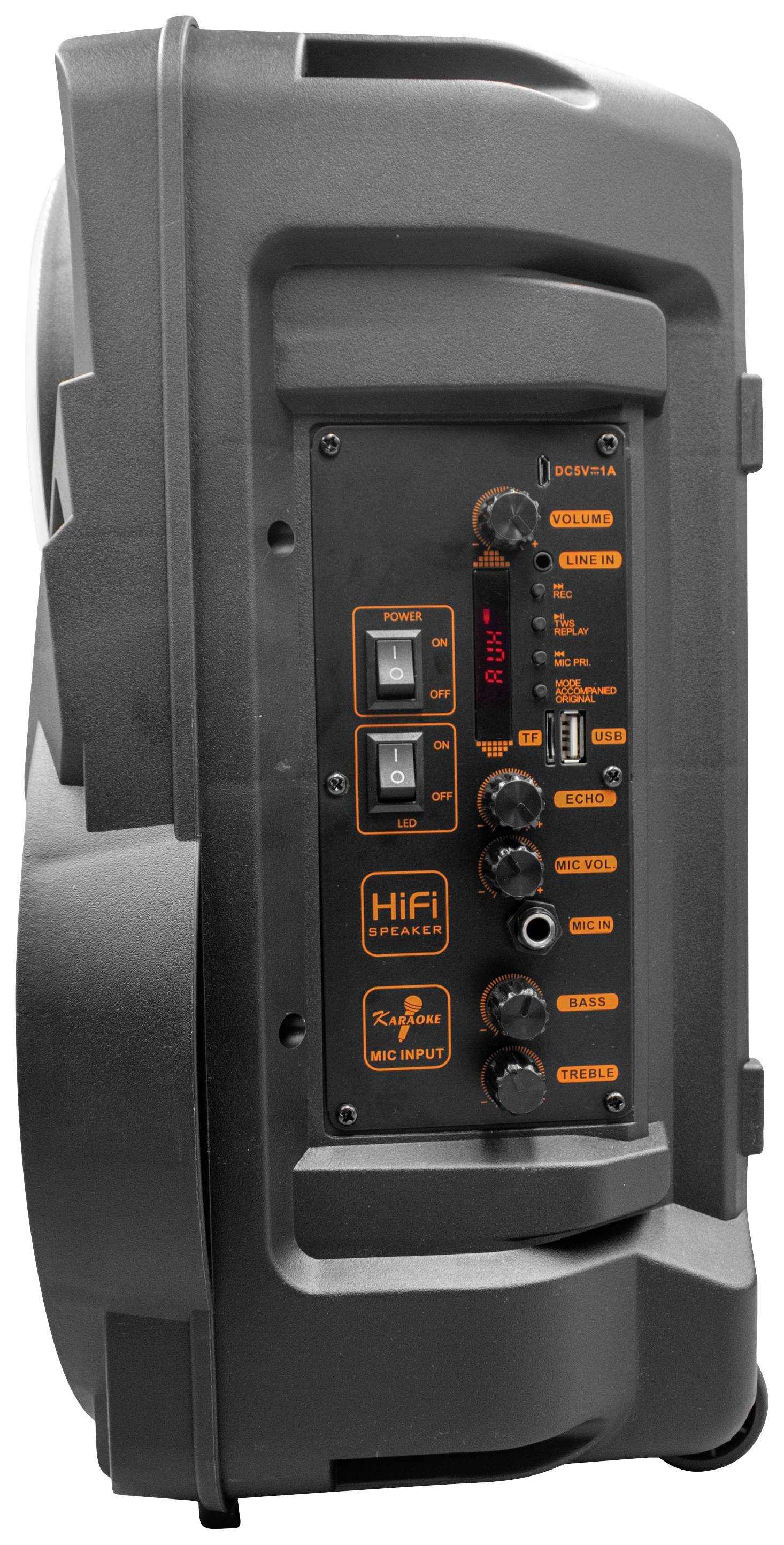 Denver TSP-301 Party Lautsprecher 20.3 cm 8 Zoll 12 W 1 St.