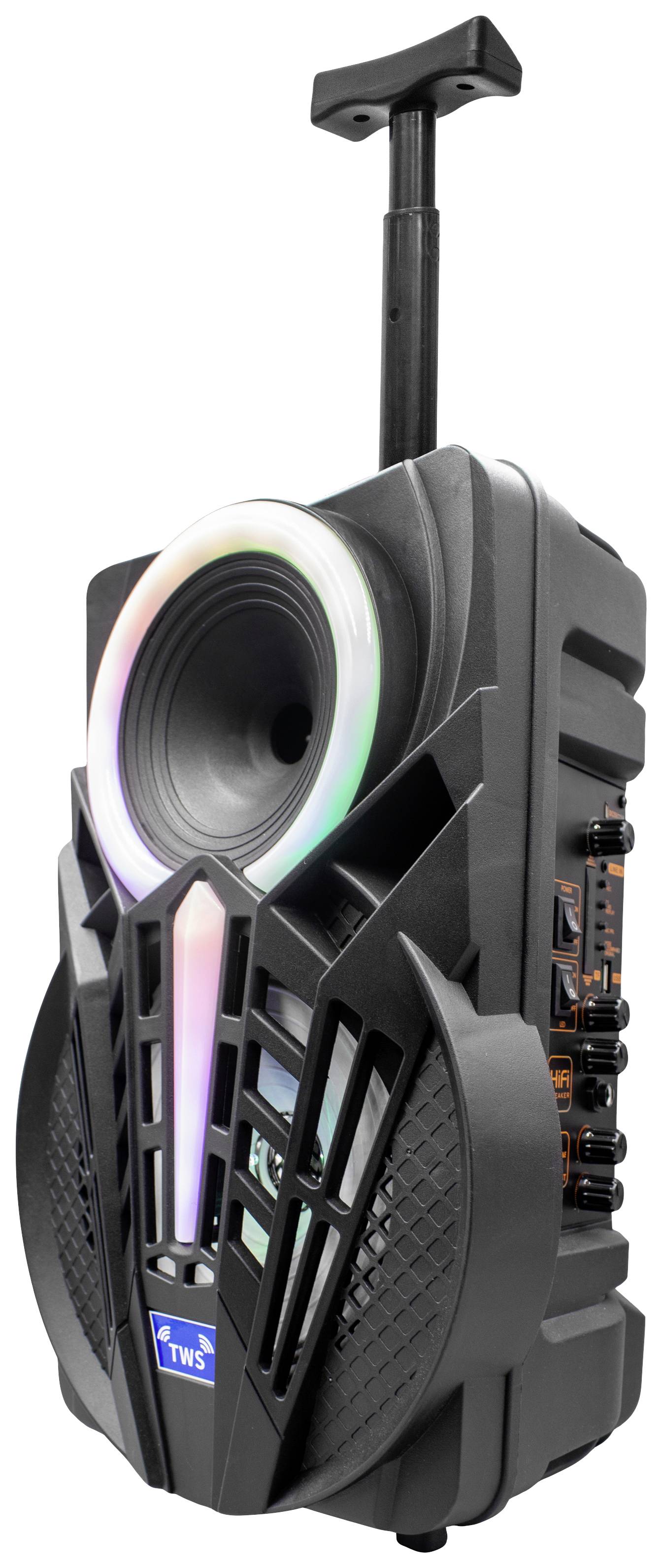 Denver TSP-301 Party Lautsprecher 20.3 cm 8 Zoll 12 W 1 St.