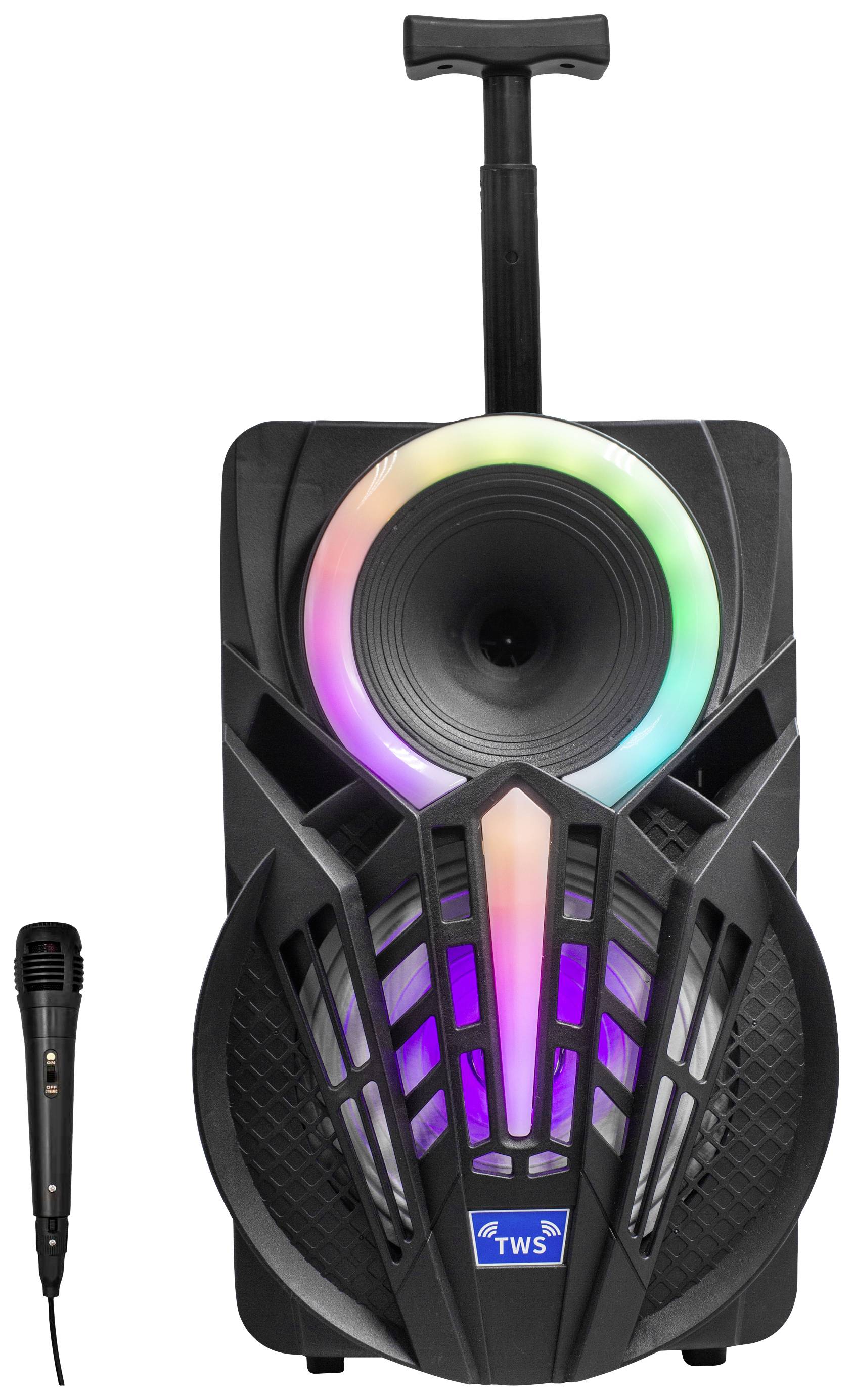 Denver TSP-301 Party Lautsprecher 20.3 cm 8 Zoll 12 W 1 St.