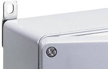 Metallischer Eckabschnitt eines Gehäuses mit Schraube und Befestigungslasche, typisch für industrielle Anwendungen.