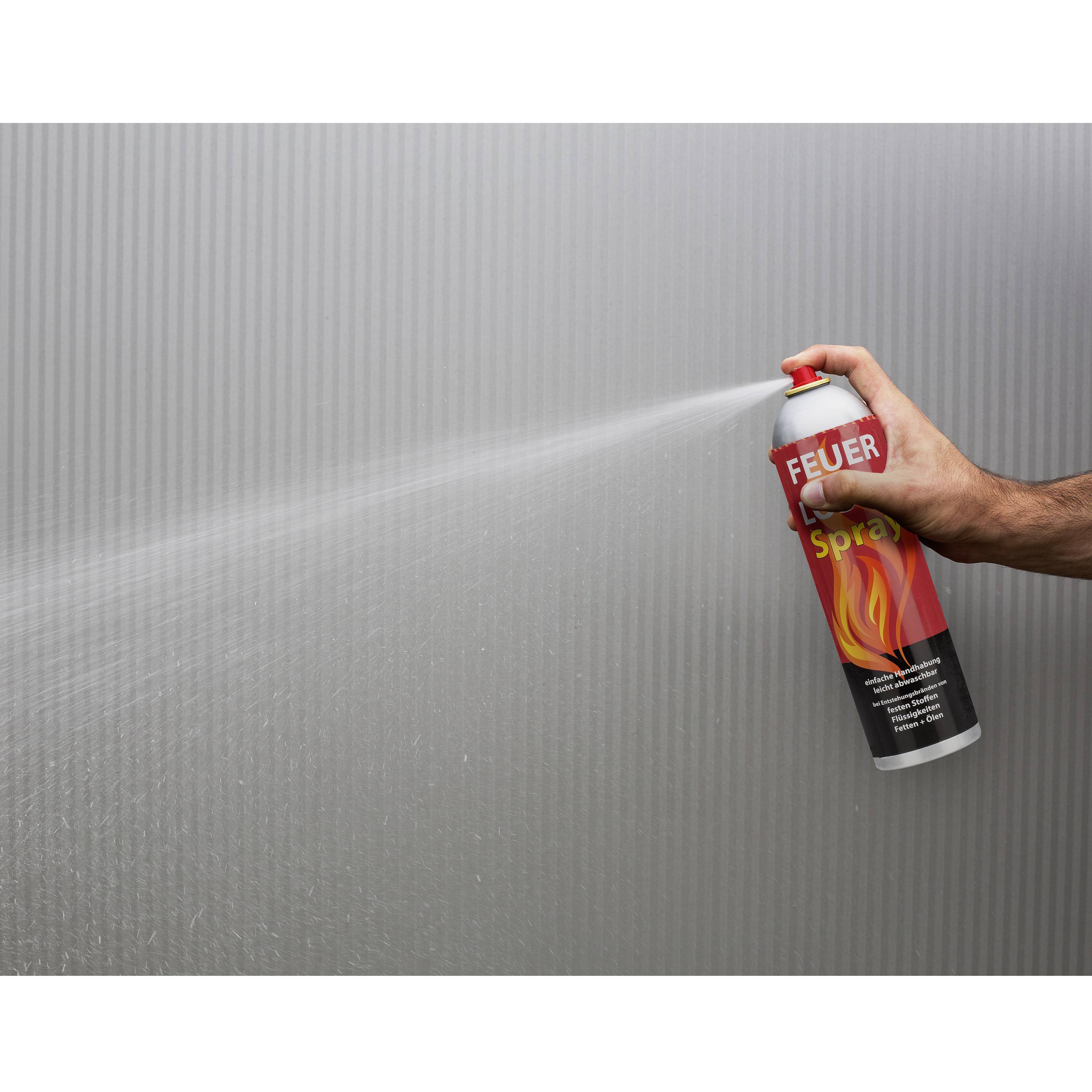 Tristar 10.033.67 Schaumfeuerlöschspray 0.6 l Brandklasse: A, B, F Inhalt 1 St.