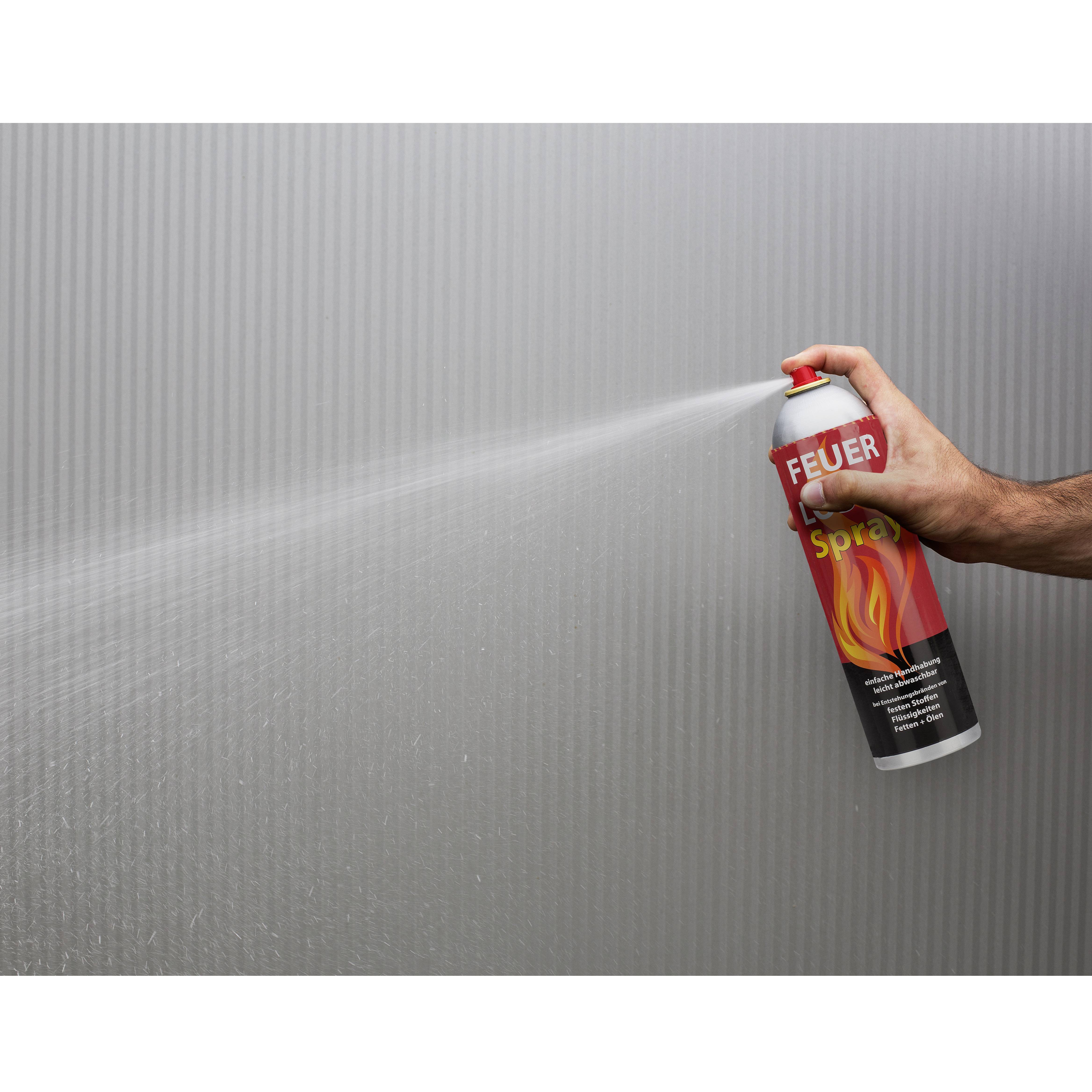 Tristar 10.033.67 Schaumfeuerlöschspray 0.6 l Brandklasse: A, B, F Inhalt 1 St.