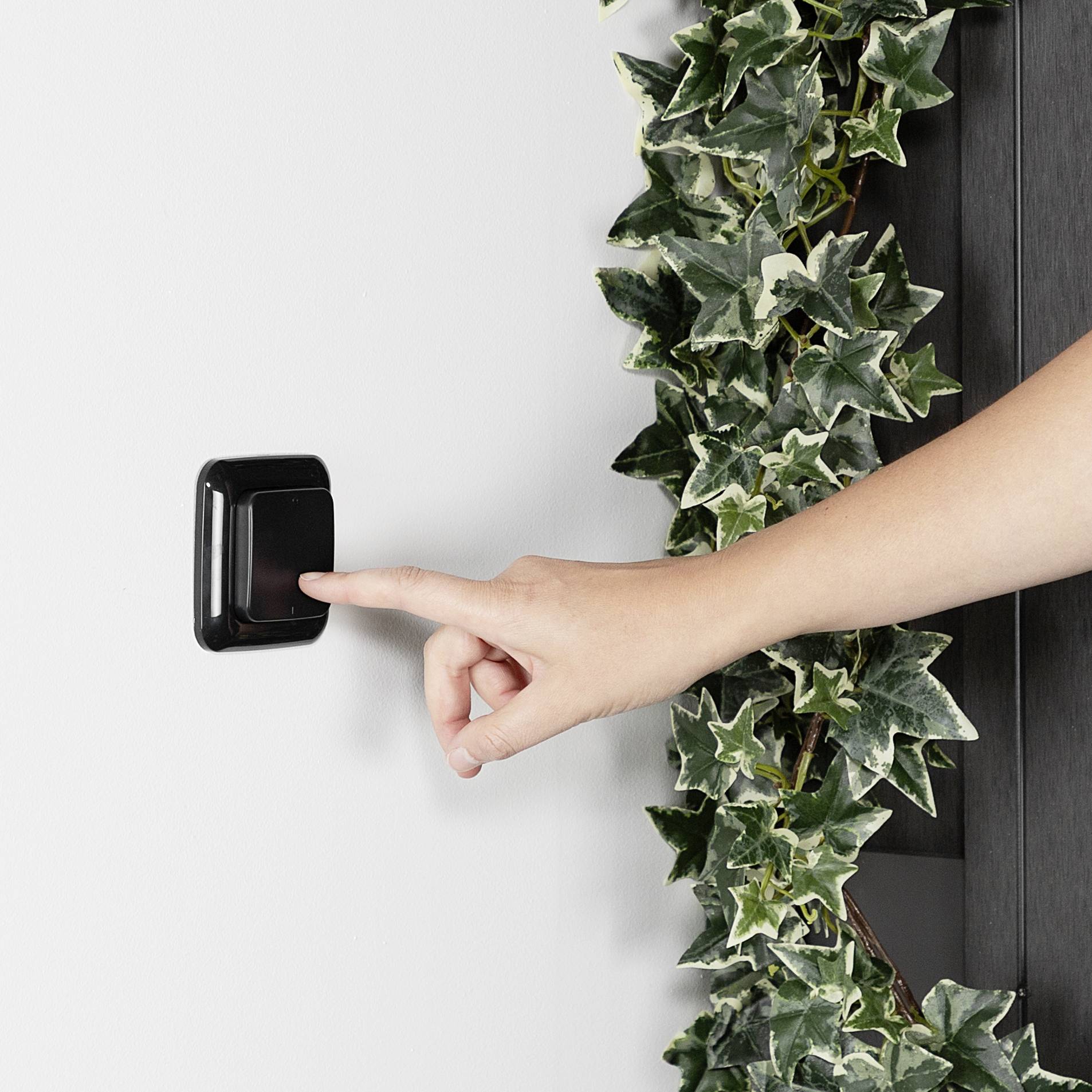 Eine Hand drückt einen Wandschalter neben einer Kletterpflanze mit grünen Blättern.