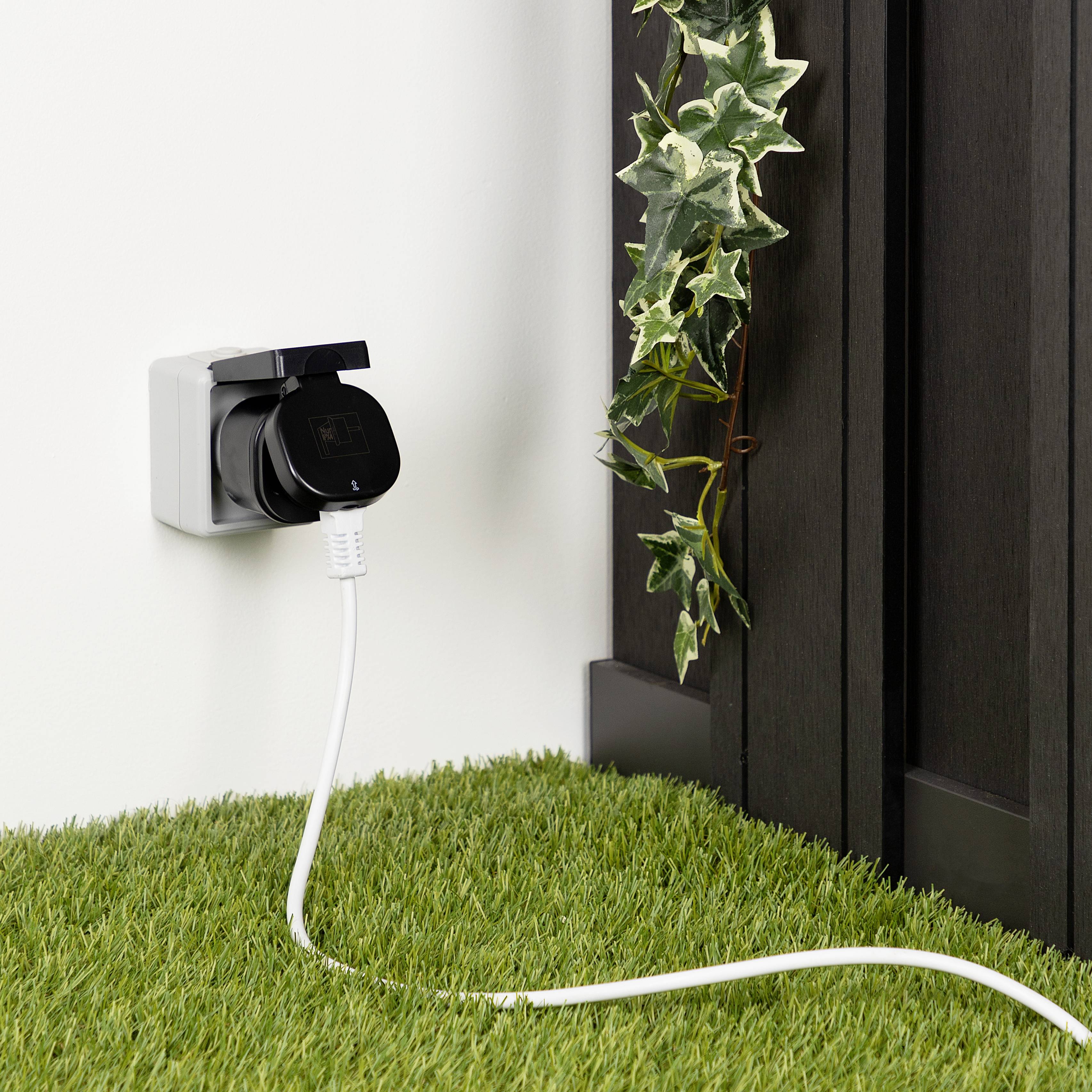 Steckdose an einer Wand mit einem eingesteckten Adapter und Ladekabel. Ein Efeuzweig wächst daneben auf einem grünen Teppich.