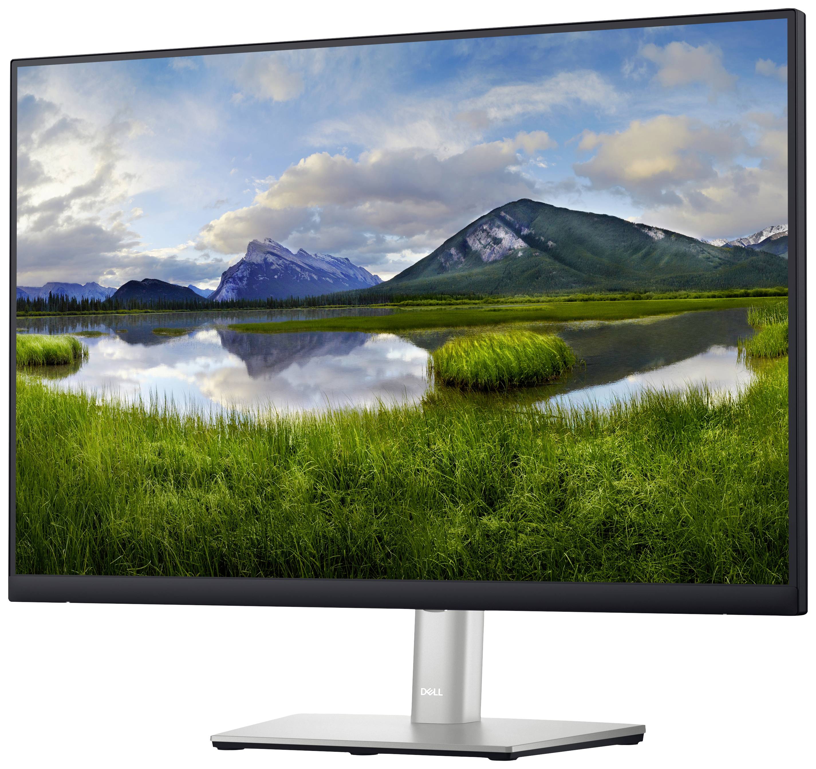 Dell P2423 Professional LED-Monitor EEK D (A - G) 61 cm (24 Zoll) 1920 x 1200 Pixel 16:10 5 ms DisplayPort, DVI, HDMI®, USB 3.2 Gen 1 (USB 3.0), USB