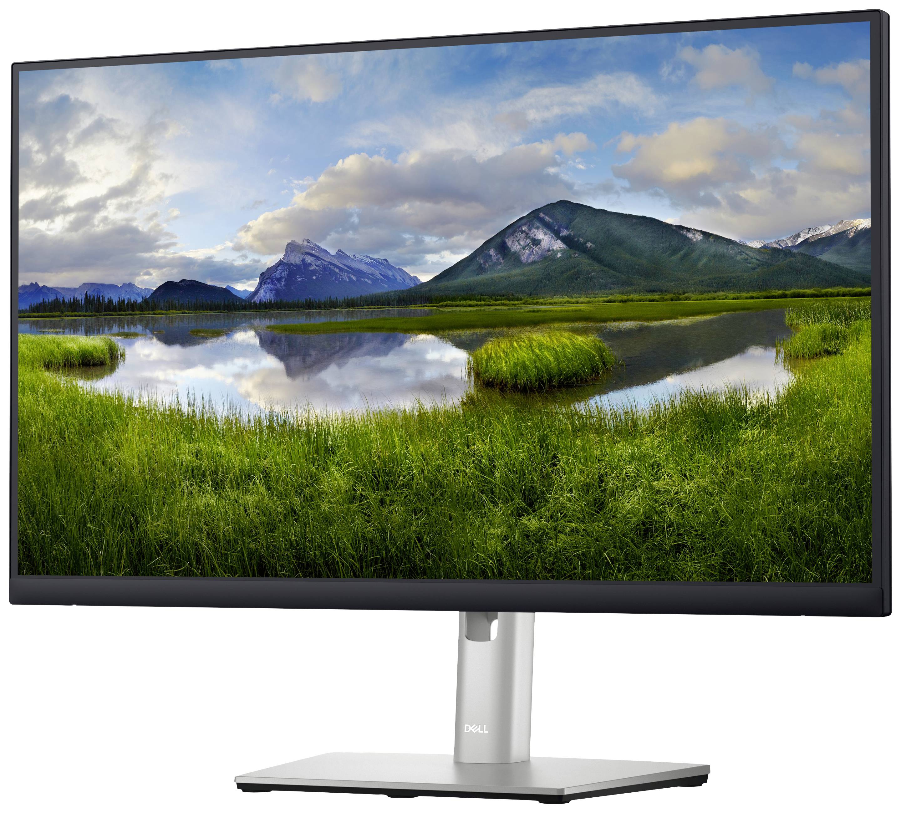 Ein Computerbildschirm zeigt eine Landschaft mit einem ruhigen See, umgeben von grünen Wiesen und Bergen im Hintergrund.