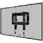 Neomounts WL30-550BL12 TV-Wandhalterung 61,0 cm (24") - 139,7 cm (55") Starr