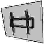 Neomounts WL35-550BL14 TV-Wandhalterung 81,3 cm (32") - 165,1 cm (65") Neigbar
