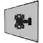 Neomounts WL40S-840BL12 TV-Wandhalterung 81,3 cm (32") - 139,7 cm (55") Neigbar, Schwenkbar