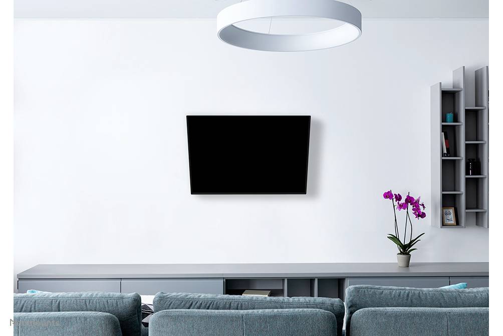 Wohnzimmer mit grauem Sofa, an der Wand montiertem Flachbildfernseher und einer lila Orchidee auf einem Regal rechts.