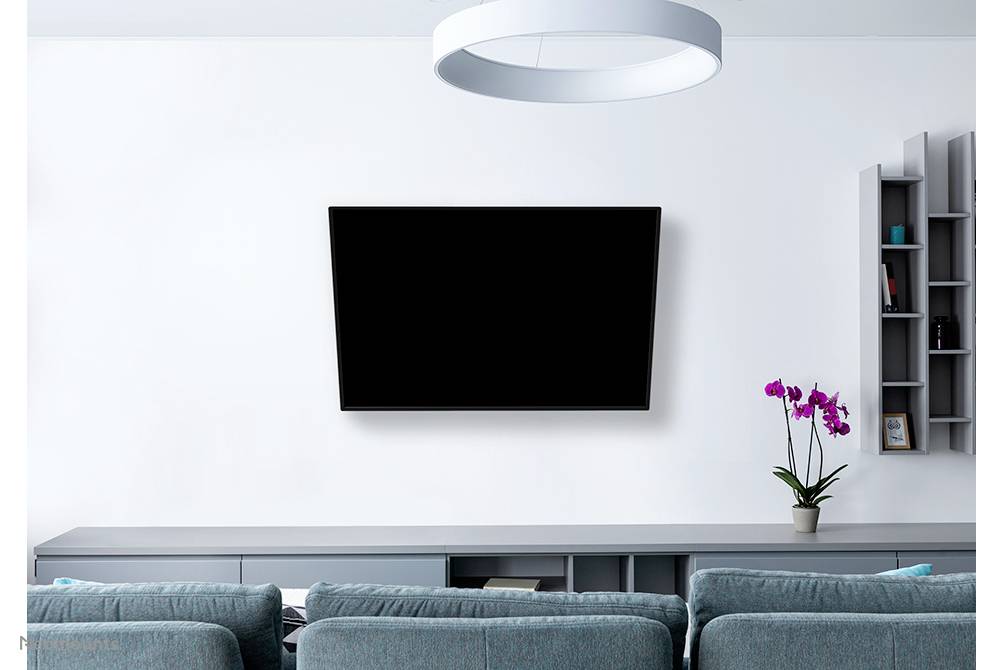 Ein modernes Wohnzimmer mit einem großen Flachbildfernseher an der Wand, blauer Couch, einem Regal und einer violetten Orchidee.