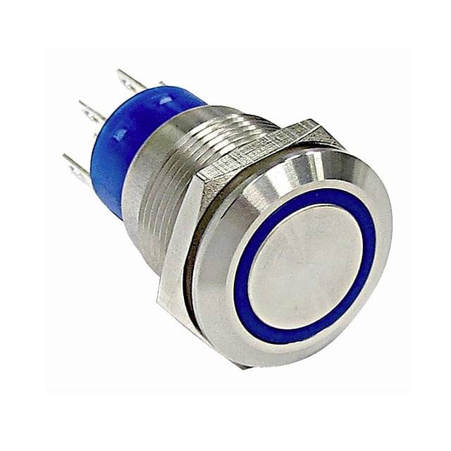 C & K Switches ATP19SL1324B0SE03Q 1St.