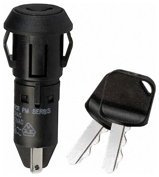 Ein schwarzer, zylindrischer Elektrischer Steckeradapter mit zwei Metallstiften wird neben zwei silbernen Schlüsseln mit schwarzen Kunststoffköpfen gezeigt.