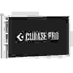 Steinberg Cubase Pro 12 Upgrade, 1 Lizenz Windows, Mac Recording Software
