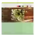 Cricut 2003829 Filz-Zuschnitte Schnittbreite 30.5 Hellrosa, Rot, Pflaume, Hellblau, Grün, Minze, Hellgelb, Braun, Pfirsich, Grau Cricut 2003829 Filz-Zuschnitte Schnittbreite 30.5 Hellrosa, Rot, Pflaume, Hellblau, Grün, Minze, Hellgelb, Braun, Pfirsich, Grau