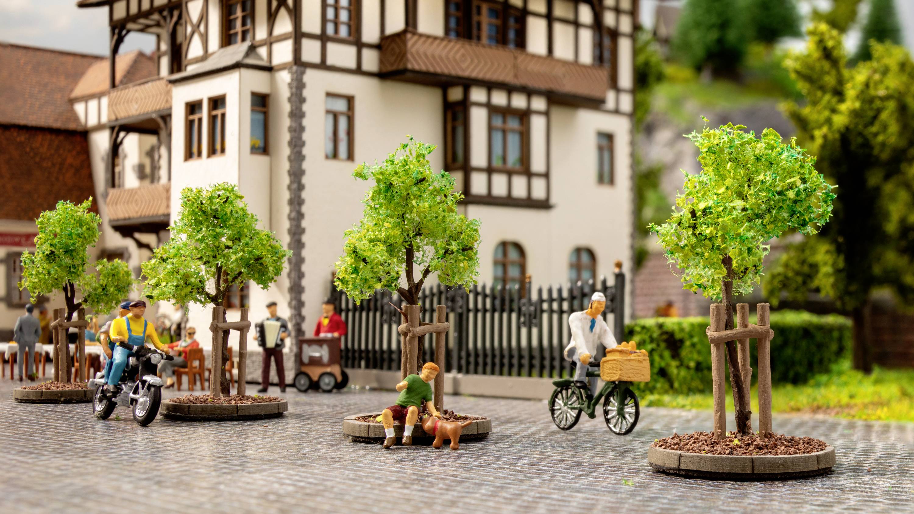 NOCH 21538 Baumpackung Jungbaum 40cm (min) 6St.