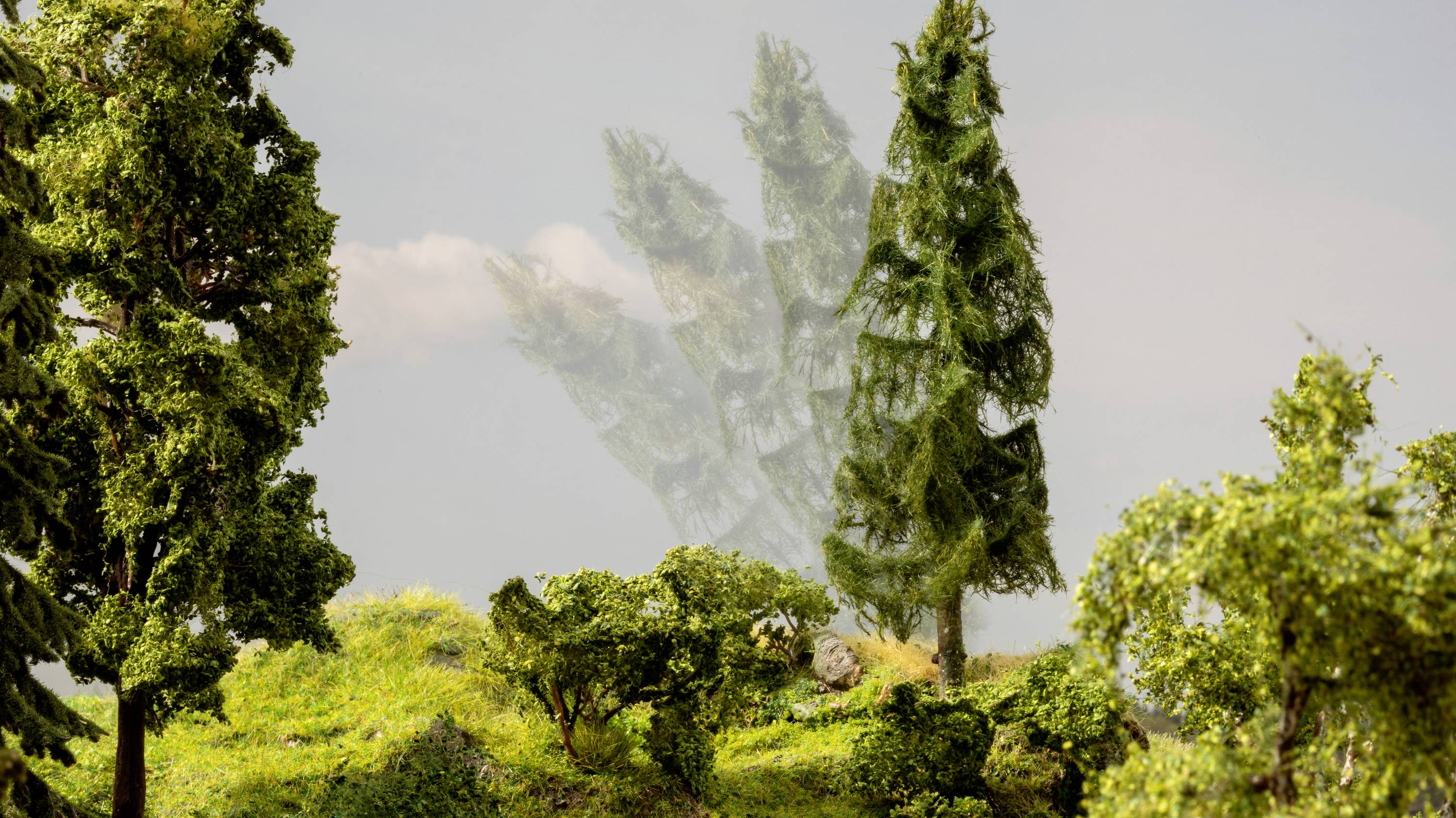 Miniatur-Szene eines Waldes mit Tannen und Laubbäumen vor klarem Himmel. Ein verschwommener Baum doppelt im Hintergrund.