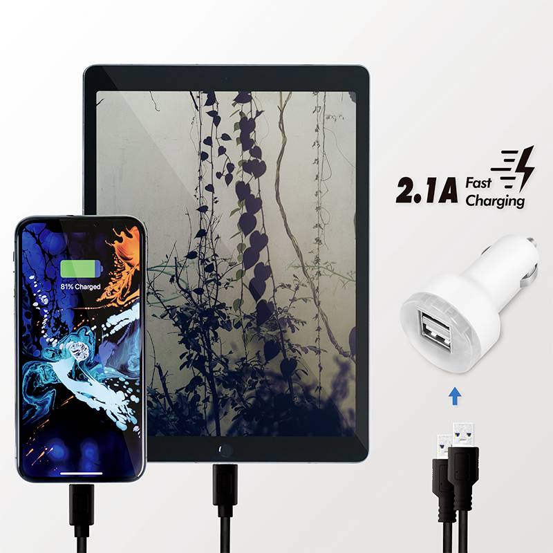 LogiLink USB Ladegerät 10.5 W 2x USB-A Weiß KFZ