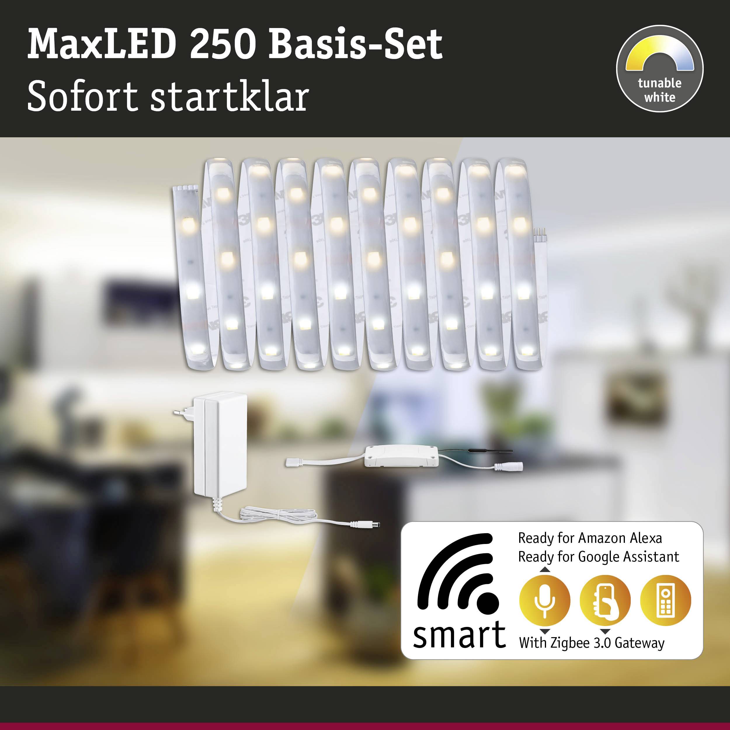 Paulmann 78869 LED-Streifen-Basisset mit Stecker 230V 3m Warmweiß 1 Set