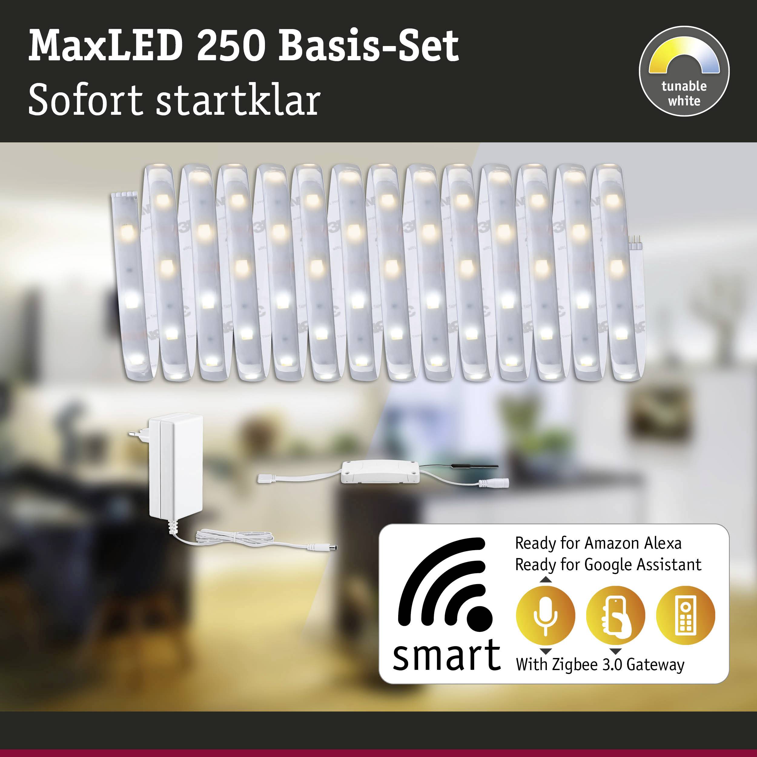Paulmann 78870 LED-Streifen-Basisset mit Stecker 230V 5m Warmweiß 1 Set