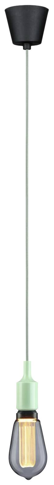 Paulmann 78428 Pendelleuchte E27 Hellgrün, Schwarz