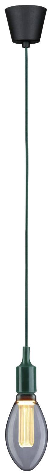 Paulmann 78429 Pendelleuchte E27 Grün, Schwarz