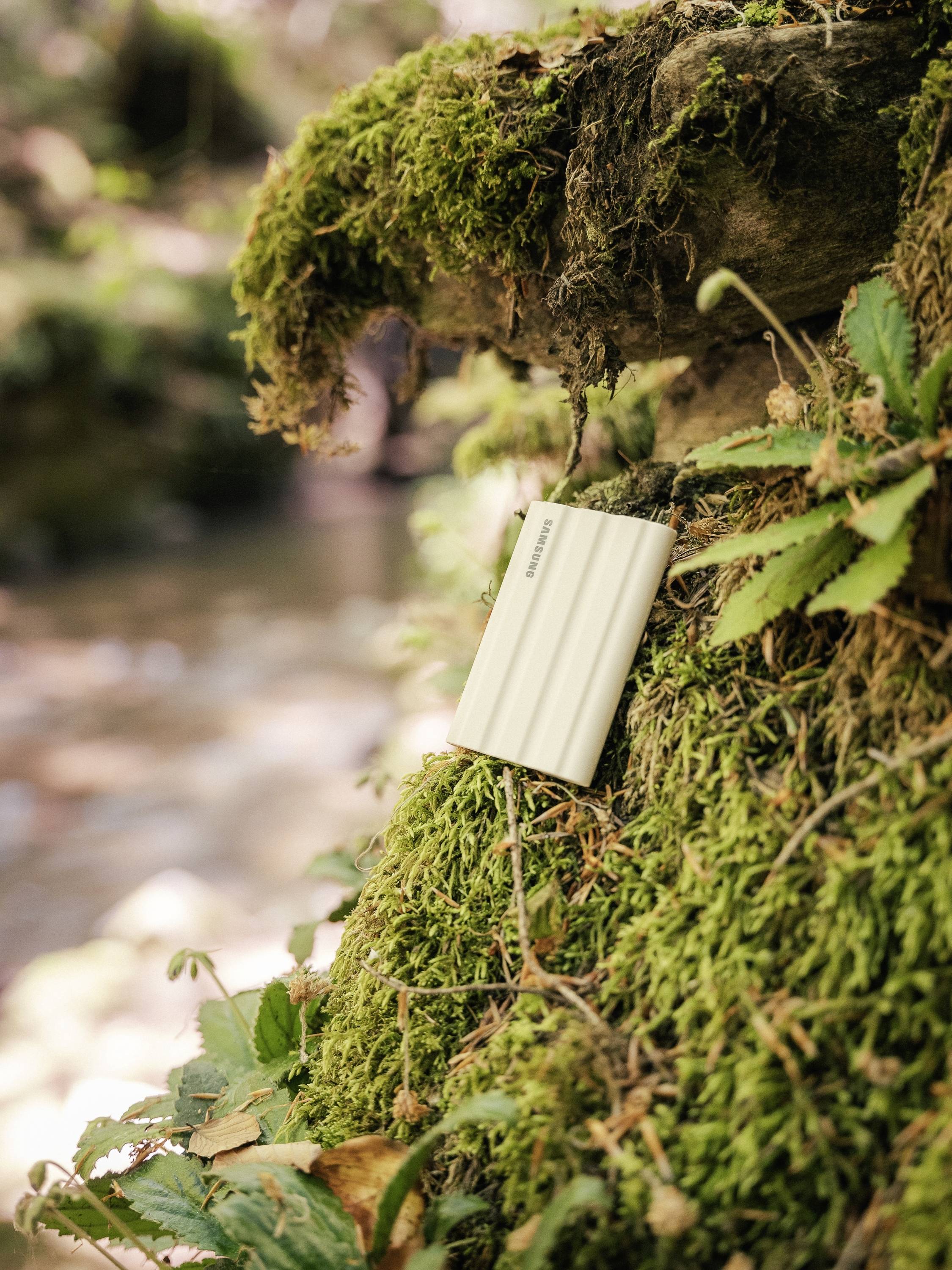Ein tragbares Ladegerät lehnt an einem mit Moos bedeckten Baumstamm in einem Wald, symbolisiert nachhaltige Technologie in der Natur.