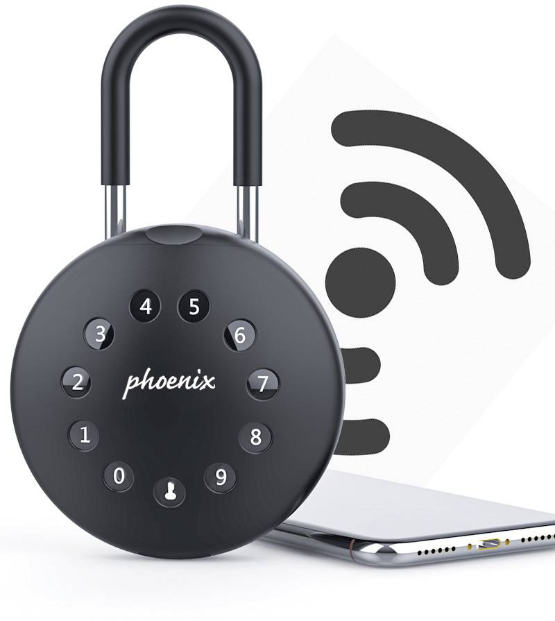 Phoenix Schlüsselsafe KEY STORE-THE PALM KS0213ES Anzahl Haken 1 Schwarz