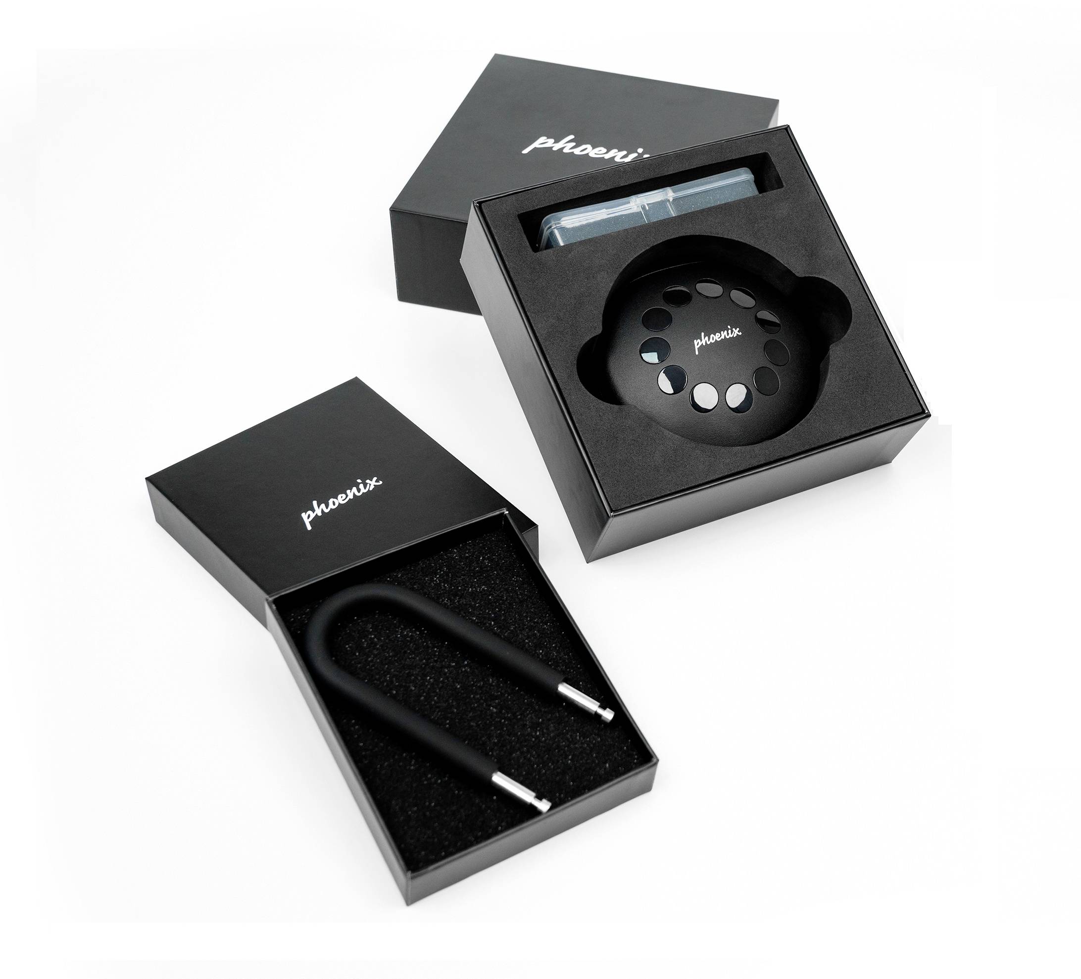 Phoenix Schlüsselsafe KEY STORE-THE PALM KS0213ES Anzahl Haken 1 Schwarz