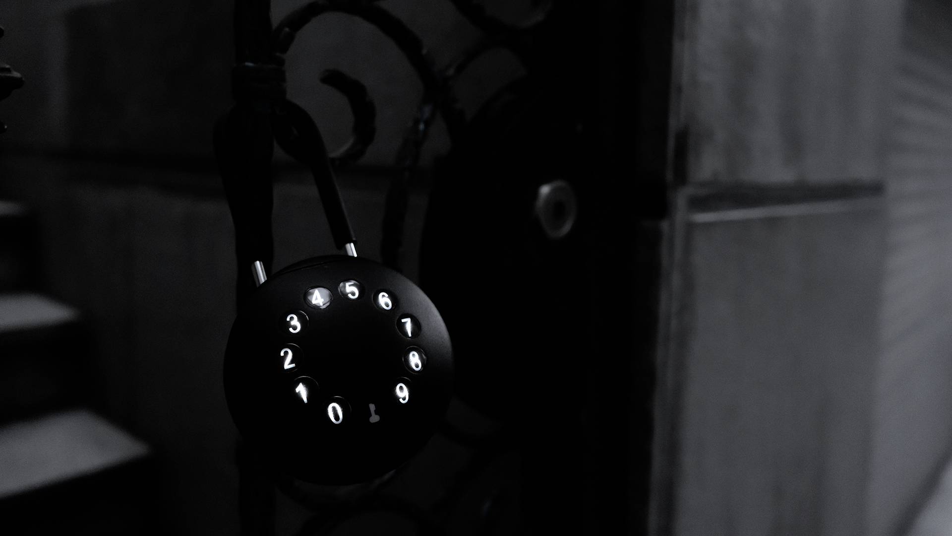 Phoenix Schlüsselsafe KEY STORE-THE PALM KS0213ES Anzahl Haken 1 Schwarz