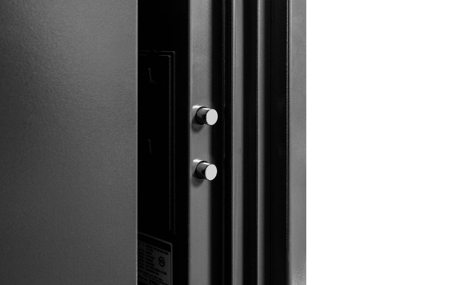 Phoenix LS6012FB SPECTRUM PLUS Tresor feuerfest Fingerabdruckschloss