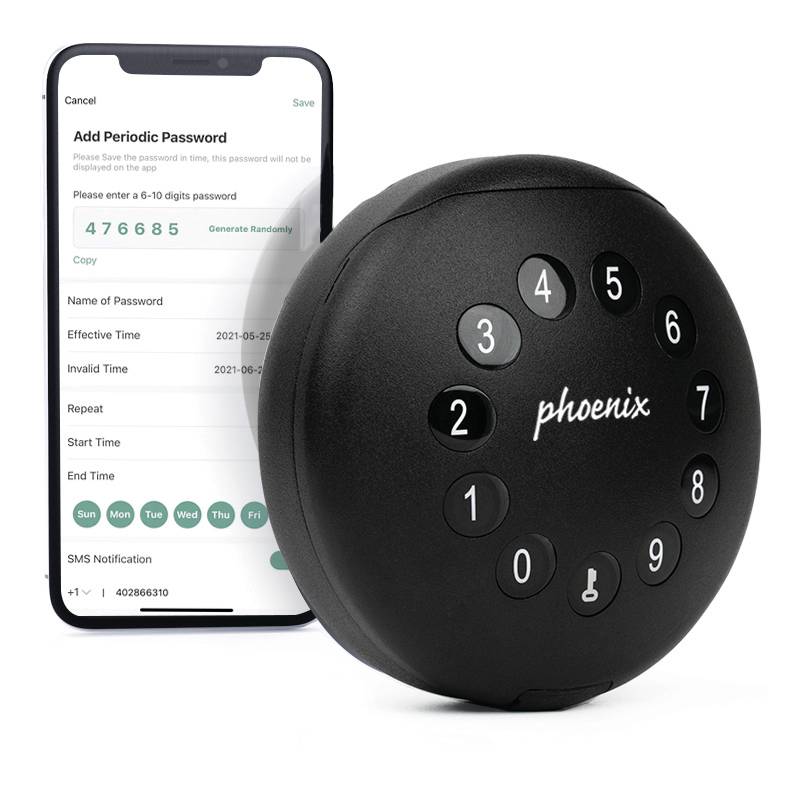 Phoenix Schlüsselsafe KEY STORE-THE PALM KS0213ES Anzahl Haken 1 Schwarz