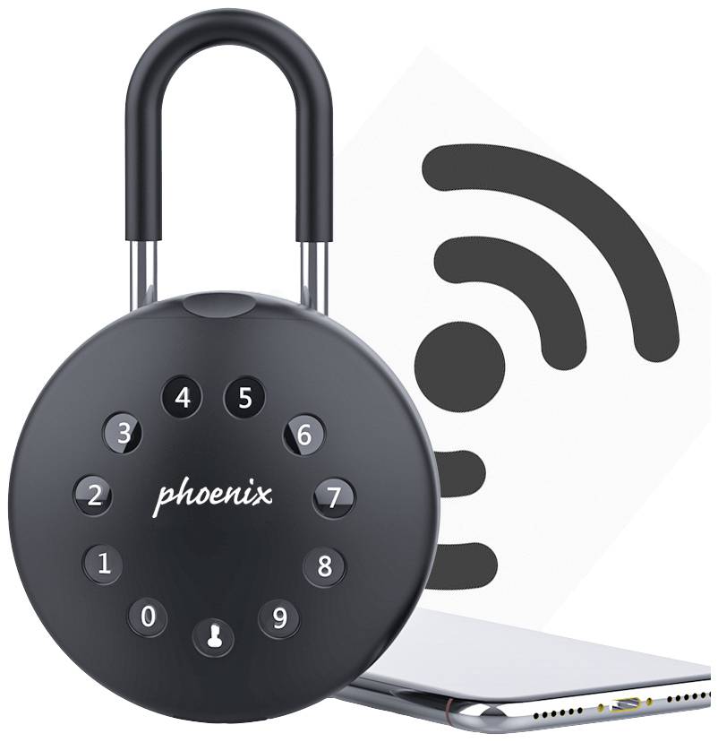 Phoenix Schlüsselsafe KEY STORE-THE PALM KS0213ES Anzahl Haken 1 Schwarz