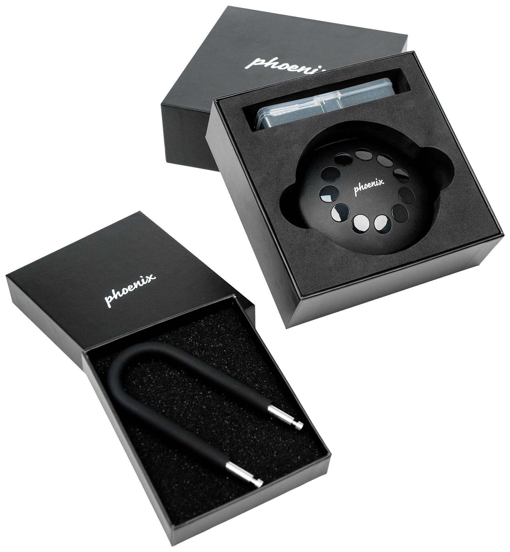 Phoenix Schlüsselsafe KEY STORE-THE PALM KS0213ES Anzahl Haken 1 Schwarz