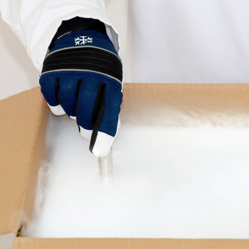 Eine Person trägt einen blauen Handschuh und greift nach einem Glasstab in einem offenen Karton mit Trockeneis.