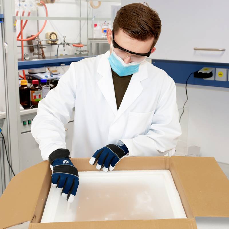 Ein Wissenschaftler in einem Labor trägt Schutzbrille und Maske und arbeitet an einem Projekt mit schützendem Lederhandschuh in einer Box.