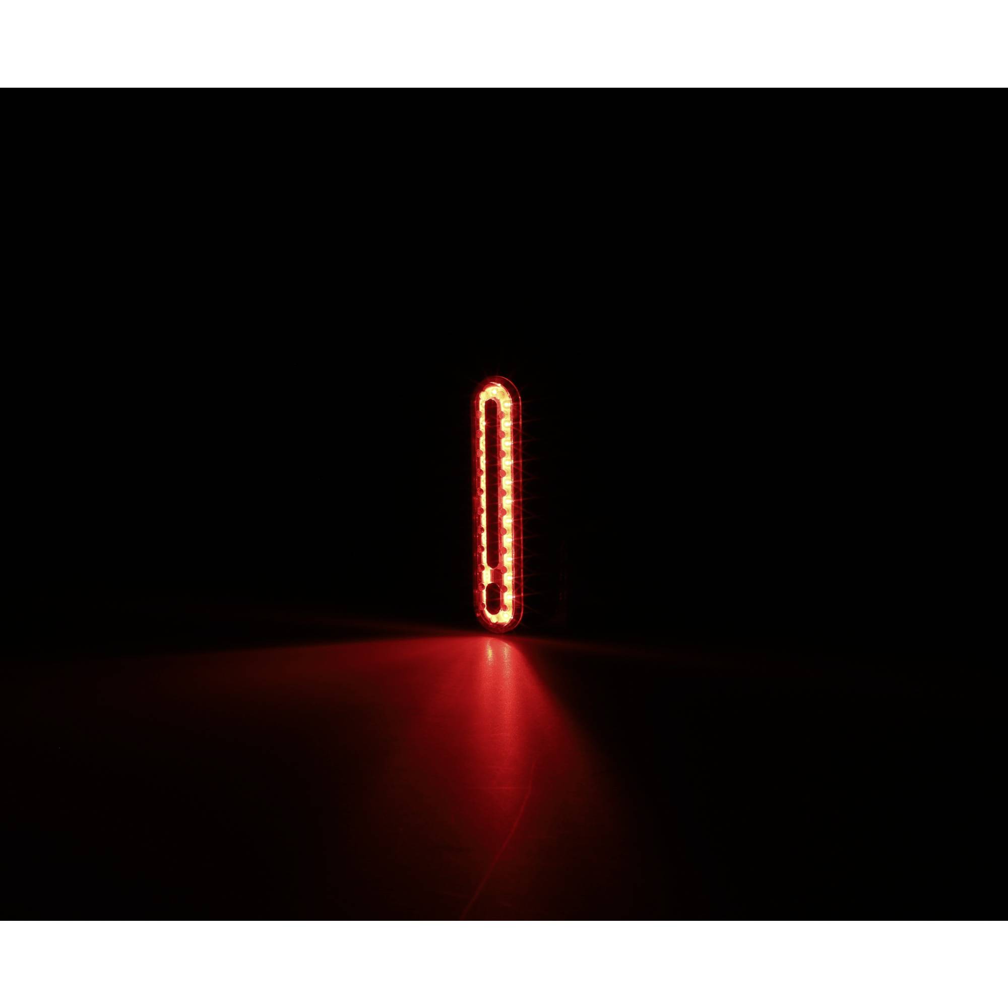 FISCHER FAHRRAD Fahrrad-Rücklicht LED akkubetrieben Schwarz