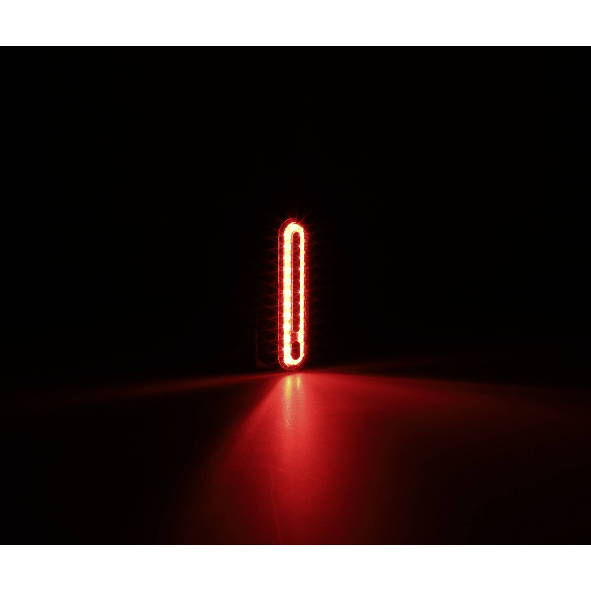 FISCHER FAHRRAD Fahrrad-Rücklicht LED akkubetrieben Schwarz