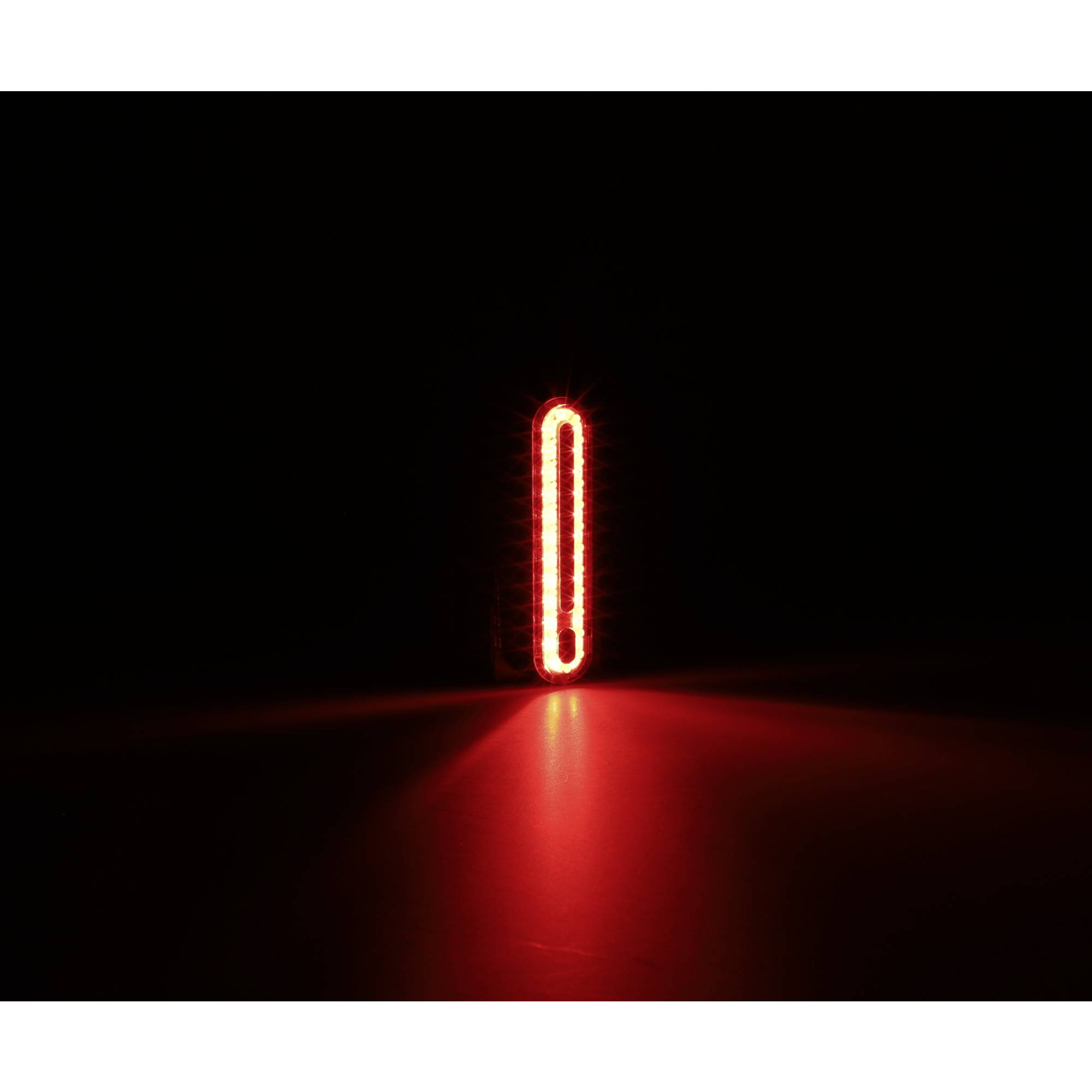 FISCHER FAHRRAD Fahrrad-Rücklicht LED akkubetrieben Schwarz