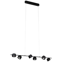 Paulmann Pane 79784 LED-Pendelleuchte 36W Schwarz Paulmann Pane 79784 LED-Pendelleuchte 36W Schwarz