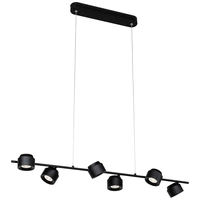 Paulmann Pane 79784 LED-Pendelleuchte 36W Schwarz Paulmann Pane 79784 LED-Pendelleuchte 36W Schwarz