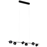 Paulmann Pane 79784 LED-Pendelleuchte 36W Schwarz Paulmann Pane 79784 LED-Pendelleuchte 36W Schwarz