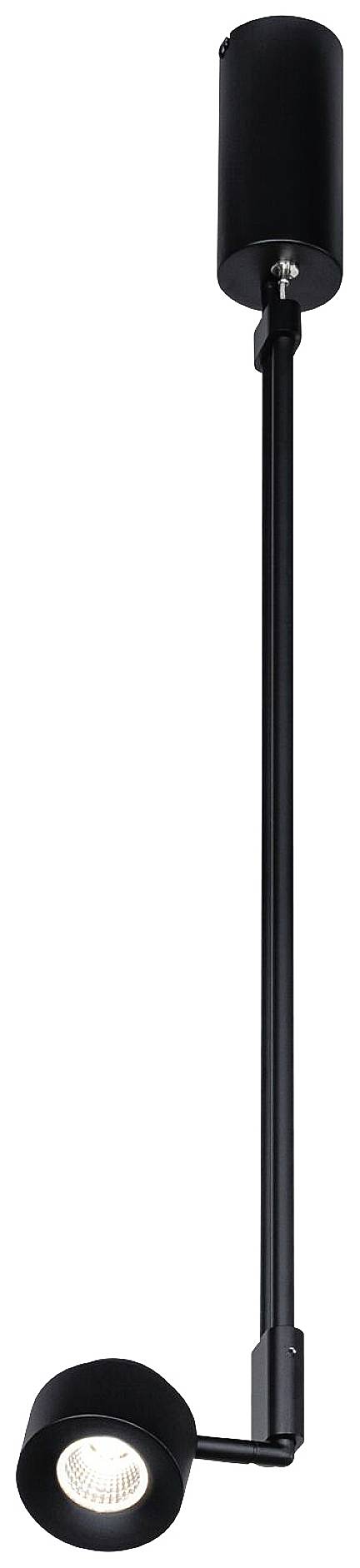 Paulmann Pane 79785 LED-Pendelleuchte 6W Schwarz