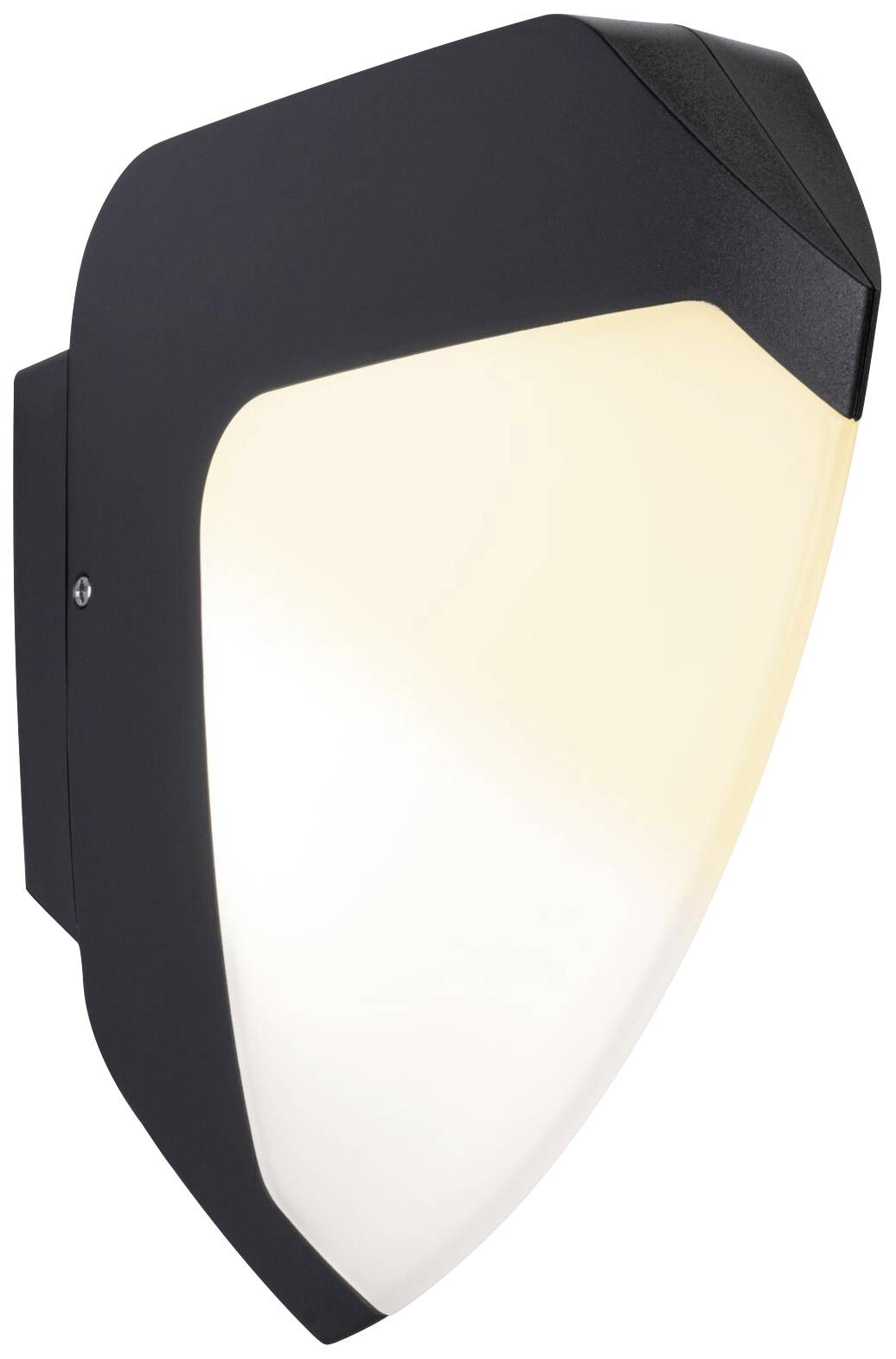 Paulmann Ikosea 94516 LED-Außenwandleuchte 4.4W Anthrazit