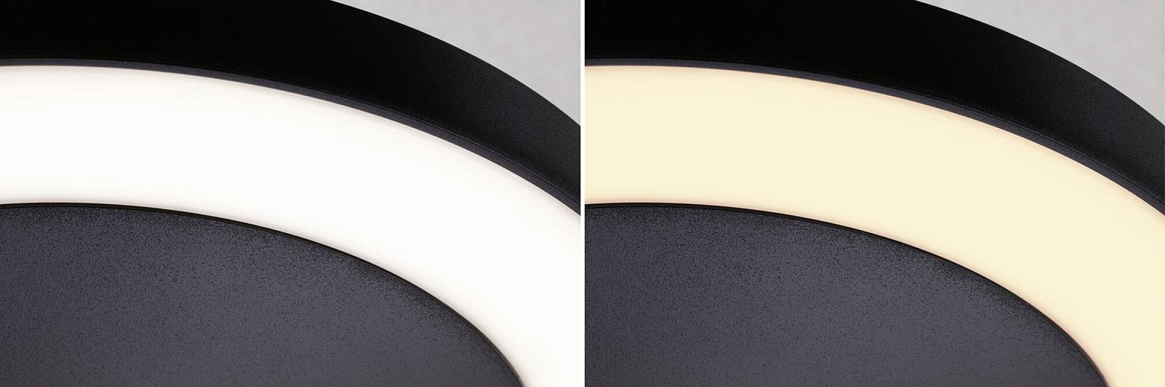 Paulmann Circula 94525 LED-Außendeckenleuchte 14W Anthrazit