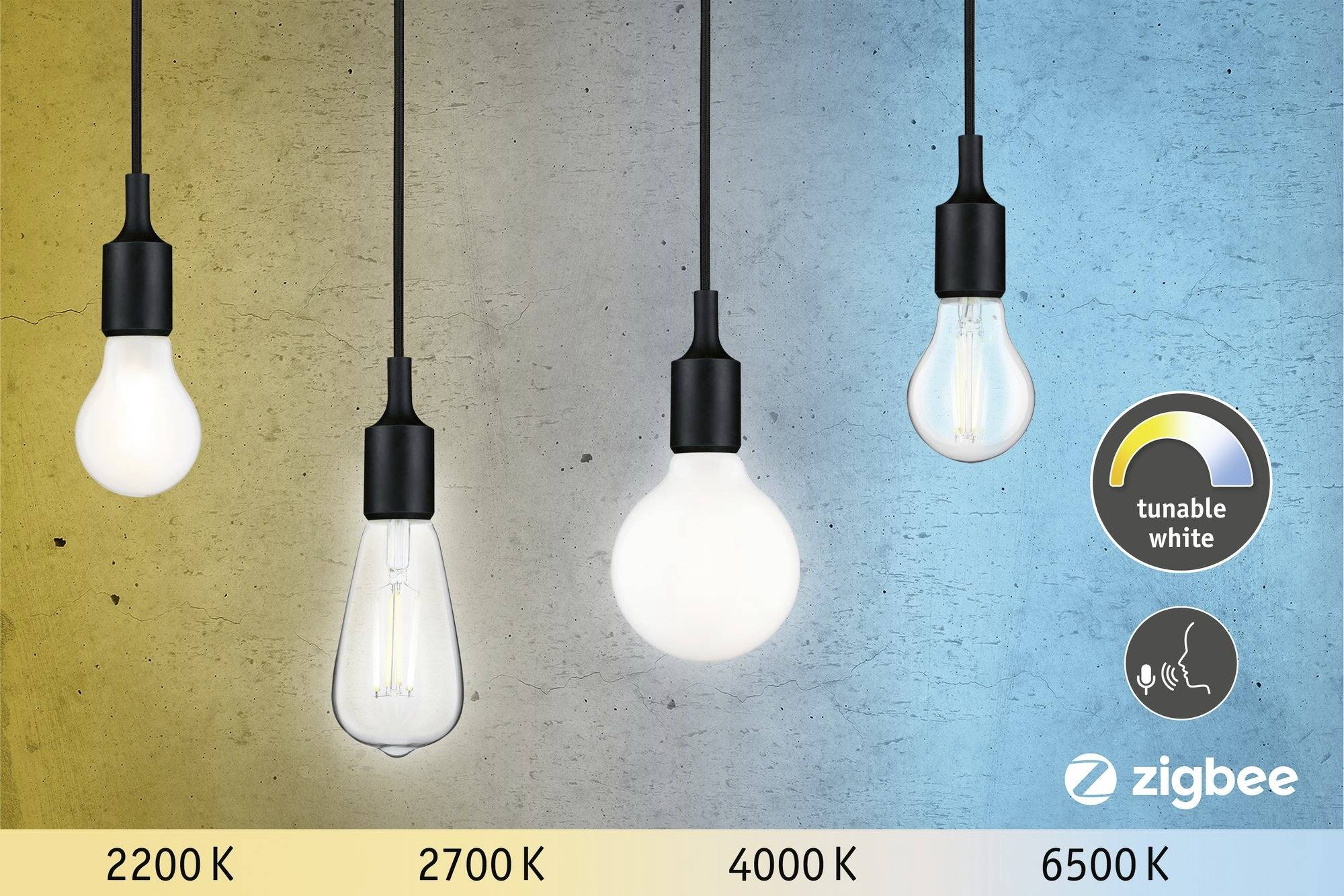 Vier hängende Glühbirnen in unterschiedlichen Farbtemperaturen: 2200 K (warmweiß), 2700 K, 4000 K (neutralweiß) und 6500 K (tageslichtweiß).