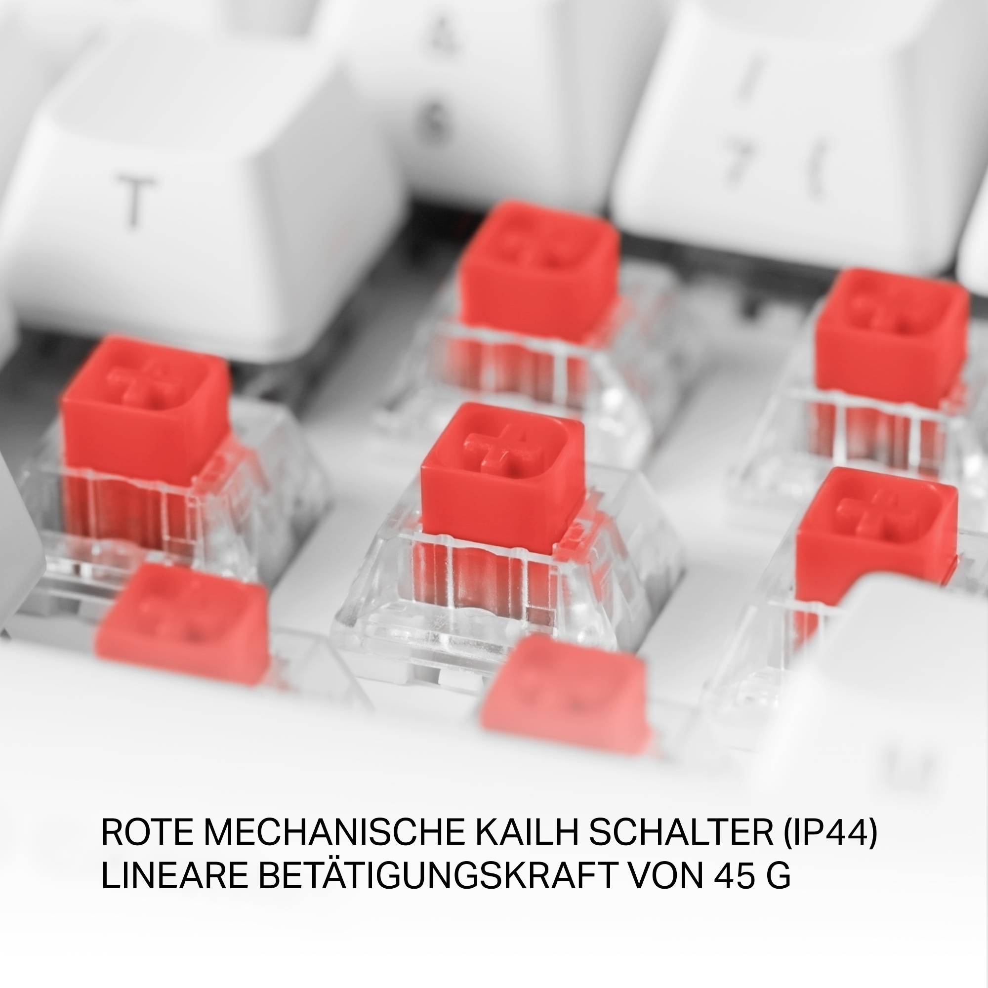 DELTACO GAMING WK95R Kabellos, Bluetooth®, Kabelgebunden Gaming-Tastatur Deutsch, QWERTZ Weiß Beleuchtet, Switch: Red