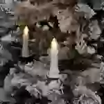 Konstsmide 1150-020 Lichterkette Außen netzbetrieben Anzahl Leuchtmittel 25 LED Bernstein Beleuchtete Länge: 16.8m mit Konstsmide 1150-020 Lichterkette Außen netzbetrieben Anzahl Leuchtmittel 25 LED Bernstein Beleuchtete Länge: 16.8m mit